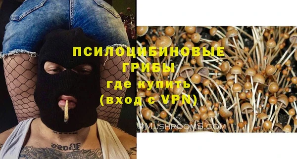прущие крисы Армянск