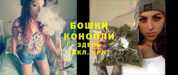гидра Протвино