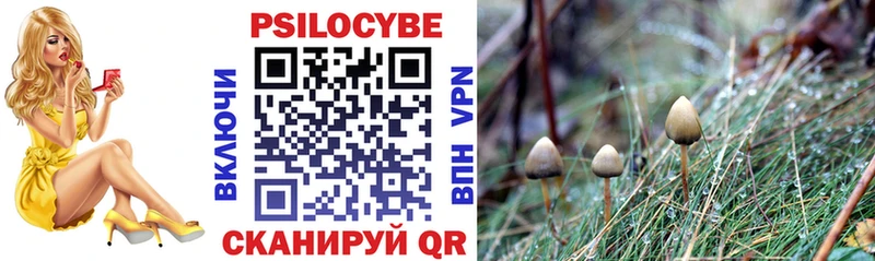 нарко площадка формула  Байкальск  Псилоцибиновые грибы Psilocybine cubensis 